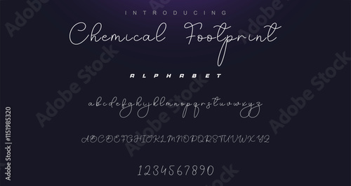 signature Font Calligraphy Logotype Script Brush Font Type Font lettering handwritten