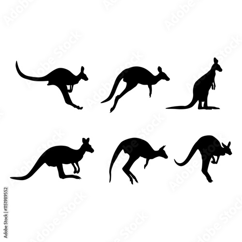 kangaroo silhouette on white background.