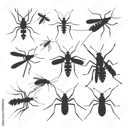 A Collection Of Black Silhouettes Of Mosquitoes