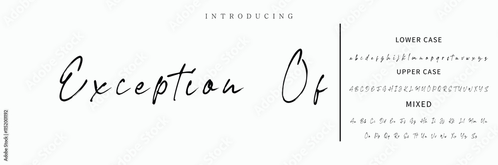 Fototapeta premium Signature Font Calligraphy Logotype Script Font Type Font lettering handwritten.