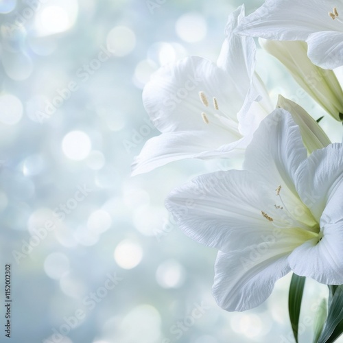 Elegant white flowers are displayed against a soft bokeh background, evoking a serene and respectful atmosphere suitable for mourning and funeral imagery. photo