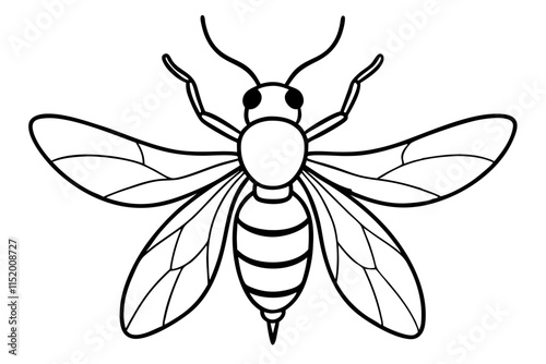 a beetle wings spread line art vector illustration