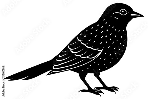  a atimor nightjar bird silhouette vector illustration 