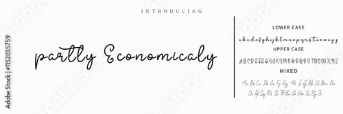 Signature Font Calligraphy Logotype Script Font Type Font lettering handwritten.