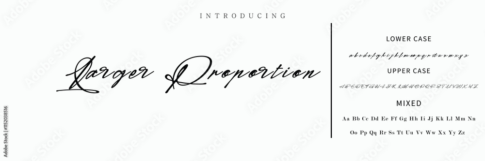 Fototapeta premium Signature Font Calligraphy Logotype Script Font Type Font lettering handwritten.