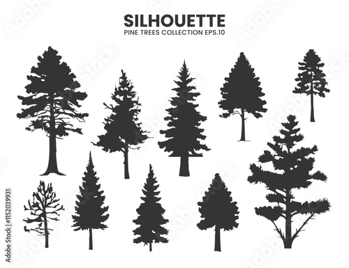 Silhouette Pine Trees Collection – Vector Illustration