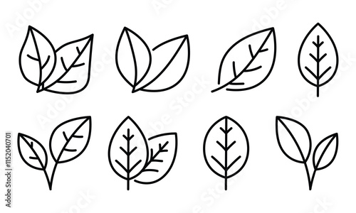 Natural linear leaves and branches icon set