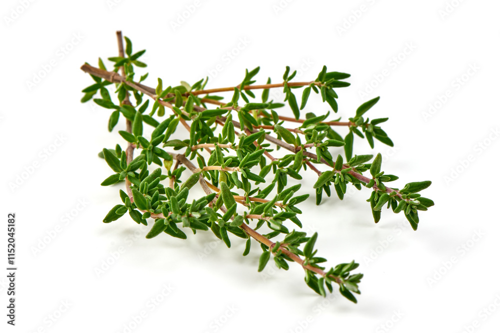 Fresh thyme sprigs, spice, close-up, isolated on white background. Fresh thyme sprigs, spice, close-up, isolated on white background.