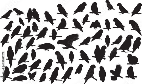 Lovebird Silhouette Collection