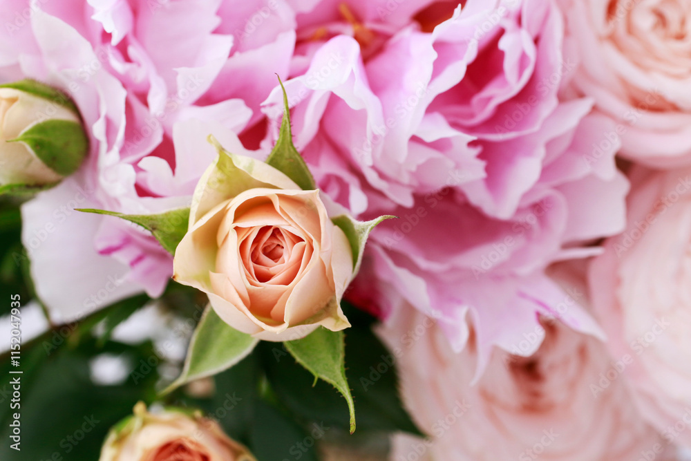 Beautiful pink roses in big bouquet.