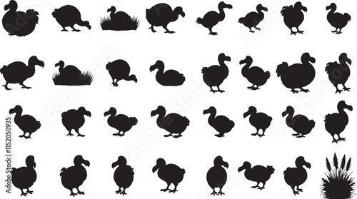 Dodo Silhouette Collection