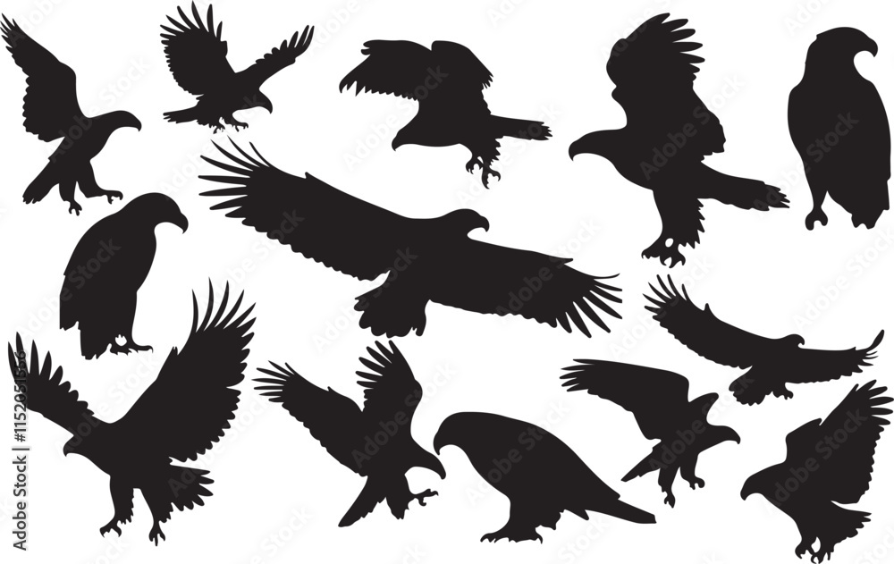 Obraz premium Eagle Silhouettes Collection