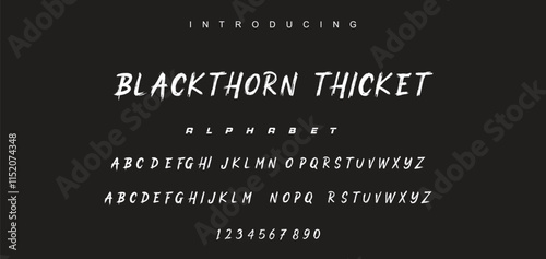 Vector brush style font, alphabet, and typeface