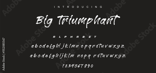 Vector brush style font, alphabet, and typeface