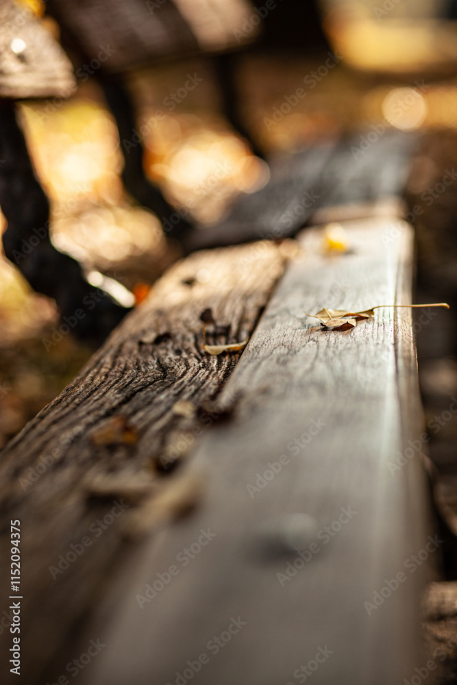A close-up of a weathered wooden bench with autumn leaves scattered on it, blurred background, warm sunlight, shallow depth of field, evokes a sense of nostalgia and tranquility. A close-up of a weathered wooden bench with autumn leaves scattered on it, blurred background, warm sunlight, shallow depth of field, evokes a sense of nostalgia and tranquility.