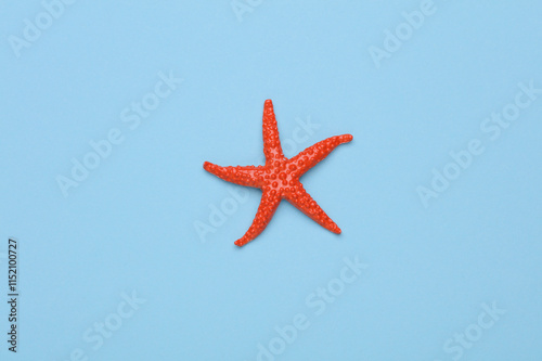 Toy starfish on a blue background photo