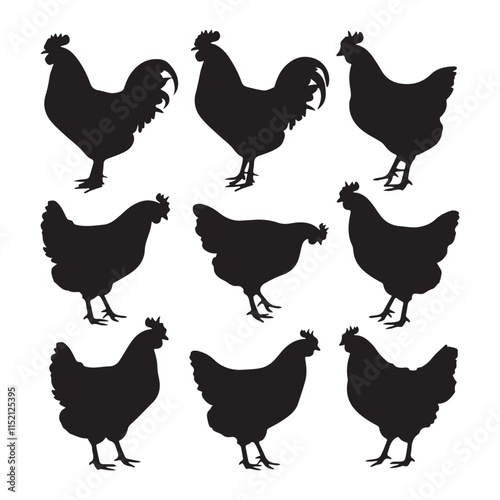 chicken silhouettes, set of chicken vector, silhouettes of hen chicken collection. silhouette chicken family