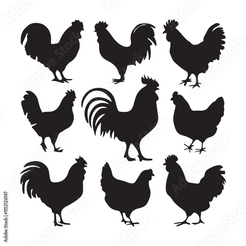 chicken silhouettes, set of chicken vector, silhouettes of hen chicken collection. silhouette chicken family