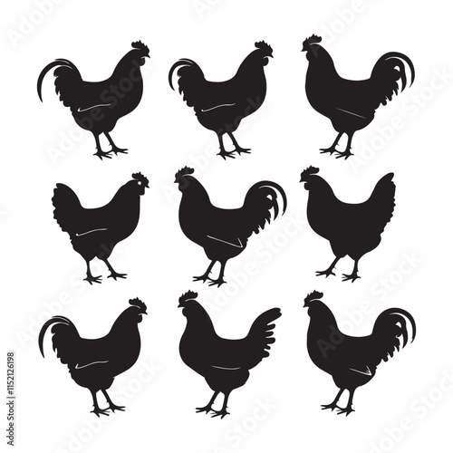 chicken silhouettes, set of chicken vector, silhouettes of hen chicken collection. silhouette chicken family