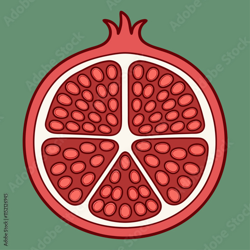 Vector illustration of pomegranate cross-section with red seeds