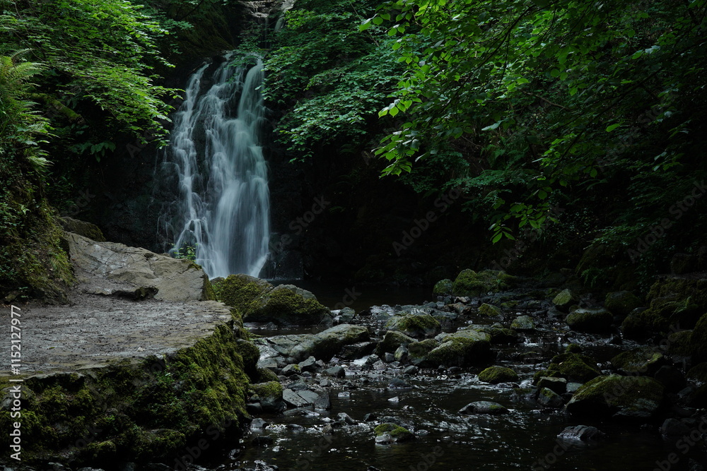 Fototapeta premium Waterfall