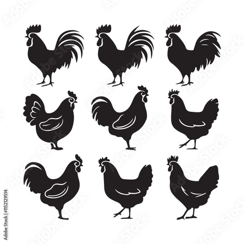 chicken silhouettes, set of chicken vector, silhouettes of hen chicken collection. silhouette chicken family