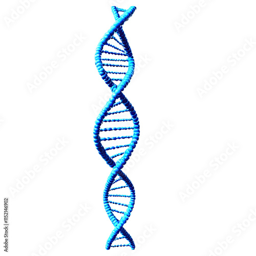 3D model of DNA helix isolated on transparent background photo