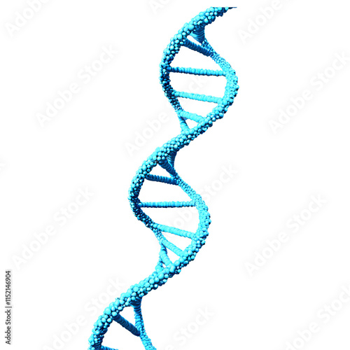 3D model of DNA helix isolated on transparent background