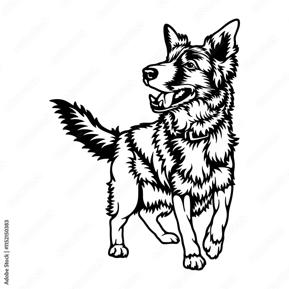 Naklejka premium Border Collie Dog Breed - Pet Vector Cut file, Dog Silhouette Stencil - Cricut file