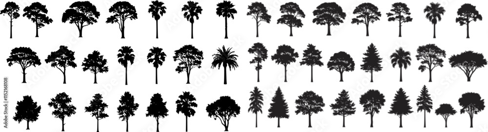 silhouette tree line drawing set, Side view, set of graphics trees elements outline symbol for architecture and landscape design drawing. Vector illustration in stroke fill in white. Tropical
