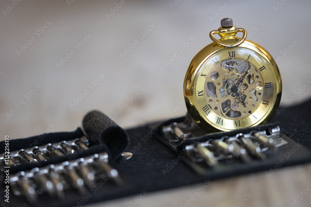 detail of gears of pocket watch detail of gears of pocket watch