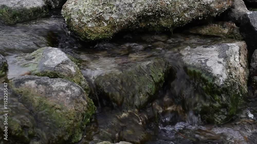 stream in the mountains. mountain river. stream in the mountains. mountain river.