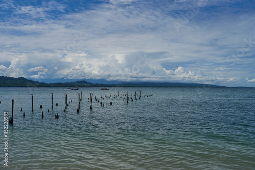 Cahuita, Costa Rica - November 16, 2024 - the Cahuita National Park - beach, forest and colorful marine life