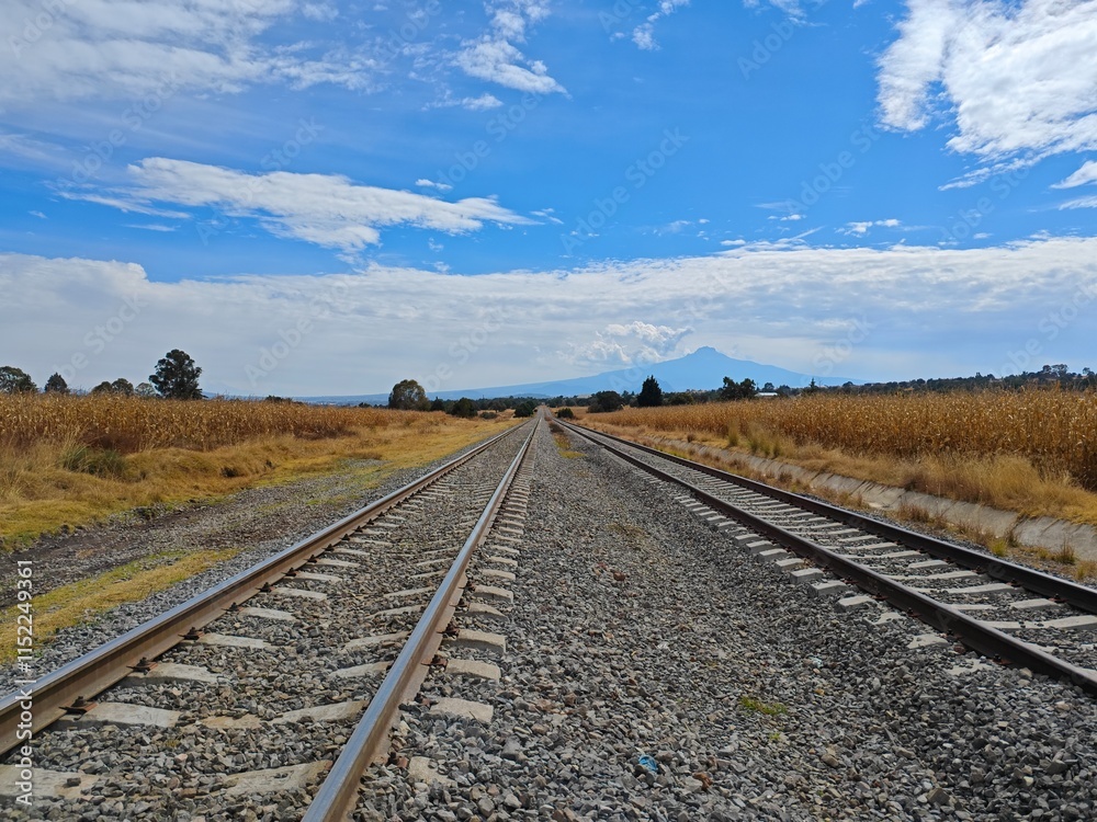 Fototapeta premium railroad tracks in the countryside