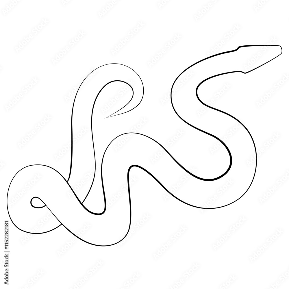 Fototapeta premium Snake one line drawing on white isolated background. 2025 Chinese New Year