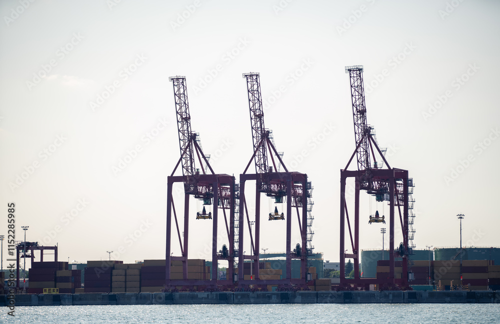 Fototapeta premium view of three tall metal crane next to the water in summer against a clear sky on a sunny day