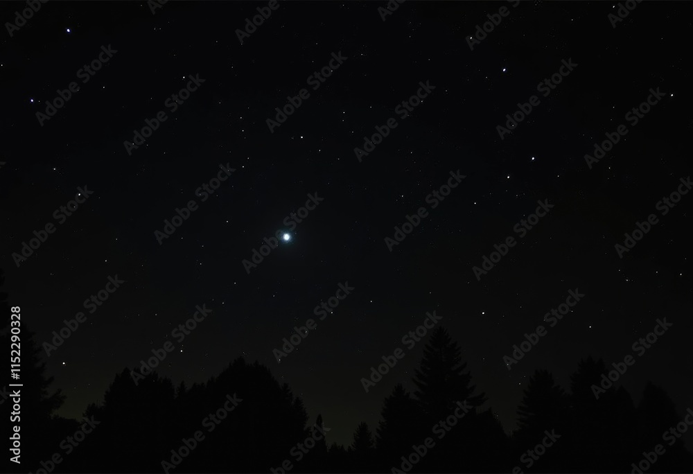 Naklejka premium A night sky with a bright star shining above a dark silhouette of trees.