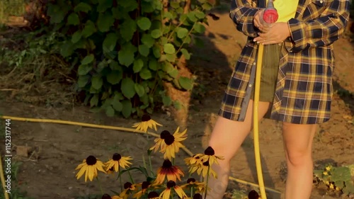 Watering the tree. Water injection through a rubber tube. Watering plants in the yard. Female hands use hoses to spray water. Woman gardener with a hose for watering plants and trees in the home