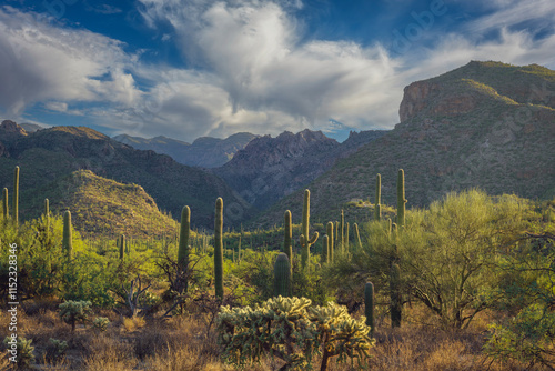 Captivating desert scenery featuring towering cacti, rugged mountain ranges under a vibrant sky with clouds, showcasing the beauty and tranquility of a natural wilderness environment. photo