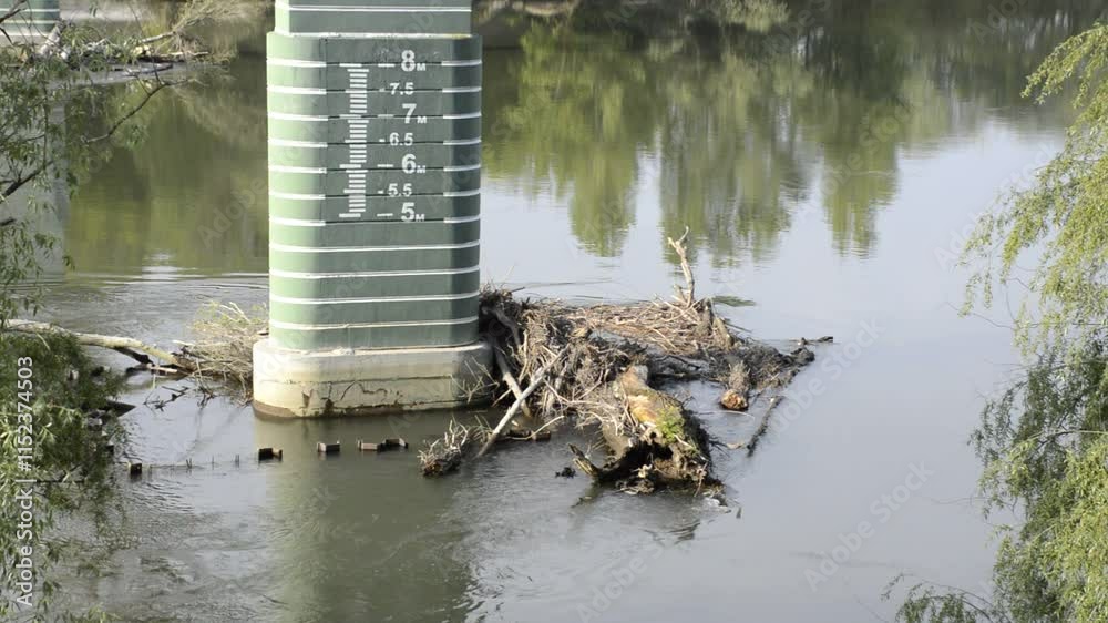 debris wooden logs stuck on the bridge support fence. danger of damage to infrastructure. pollution and environmental degradation