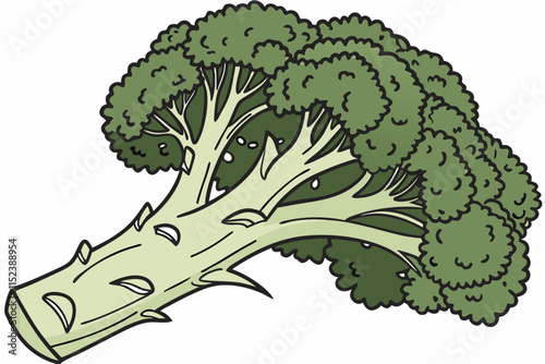 Broccoli, A tree like crown with a thick stalk vector silhouette on a white background