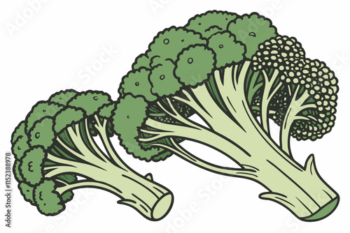 Broccoli, A tree like crown with a thick stalk vector silhouette on a white background