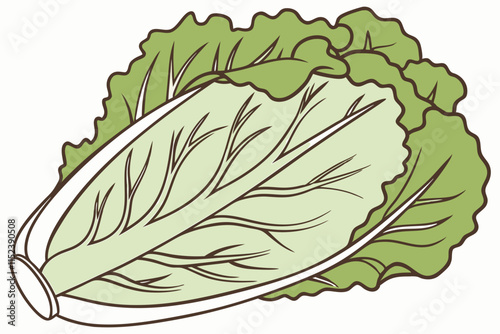 Lettuce Silhouette: Frilly Layered Leaves Forming a Loose Head on White Background