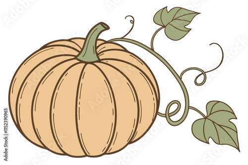 Pumpkin vector Silhouette: Round Shape with Vertical Grooves and Stem on White Background