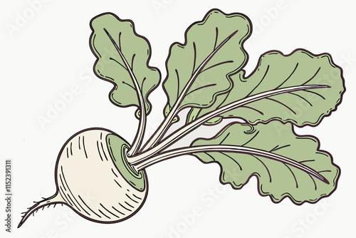 Turnip vector Silhouette: Rounded Base with Thin Leaves on White Background