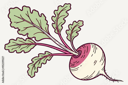 Turnip vector Silhouette: Rounded Base with Thin Leaves on White Background