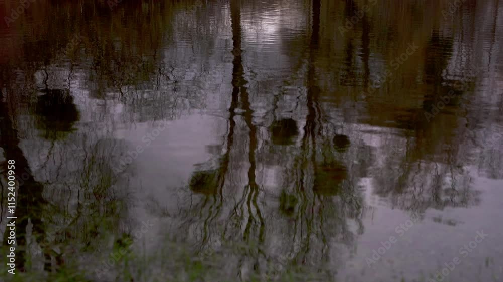 plan fixe avec zoom arrière de la caméra sur des petites vaguelettes reflet sur les arbres avec le miroir de l'eau, une journée grise d'hiver plan fixe avec zoom arrière de la caméra sur des petites vaguelettes reflet sur les arbres avec le miroir de l'eau, une journée grise d'hiver