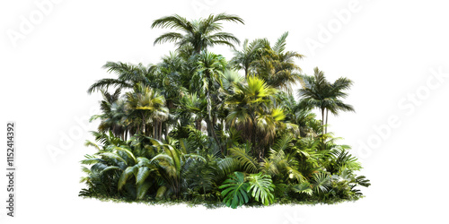 Fototapeta Naklejka Na Ścianę i Meble -  Dense tropical jungle featuring palm trees isolated on transparent background