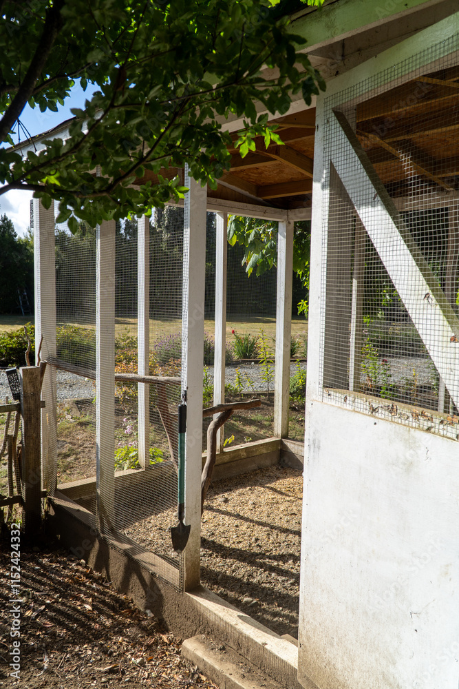 Chicken coop in the backyard of a house, surrounded by greenery and flowers.