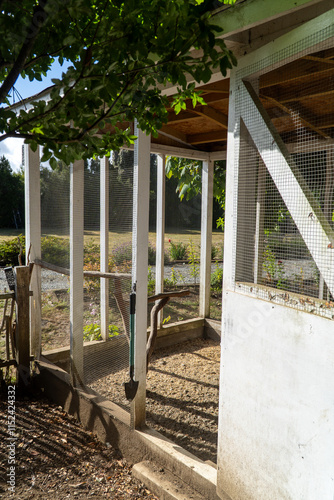 Obraz na płótnie Chicken coop in the backyard of a house, surrounded by greenery and flowers. w salonie
